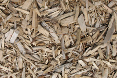 biomass boilers The Woodlands